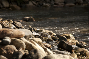 rio 4