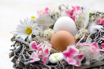 Fototapeta na wymiar Happy Easter: beautiful Easter nest with Easter eggs, feathers and spring flowers :)