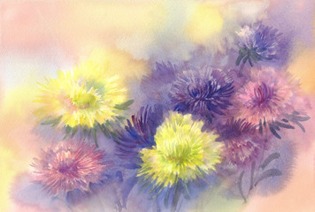 Color asters watercolor background