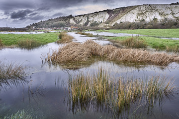 Flooding on Lewes Railwayland Nature Reserve