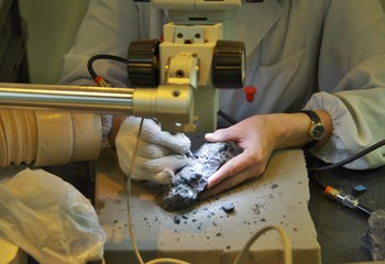 ラボで顕微鏡をのぞく研究者