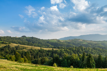 Fototapeta na wymiar Beautiful landscape of summer Carpathian mountains.