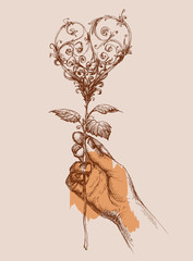 Offering love concept, hand giving a rose in shape of a heart. V