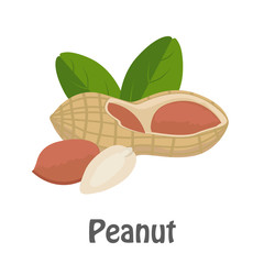 Illustration of Peanut
