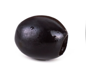 One olive tree on a white background