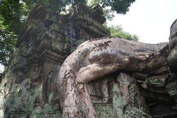 angkor © lajdaczysko