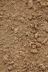 Ground agriculture Organic