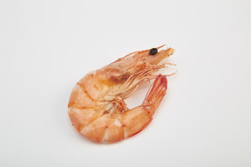 Prawn