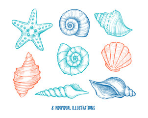 Hand drawn vector illustrations - collection of seashells.  Mari