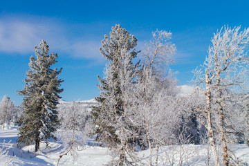 Beautiful winter landscape