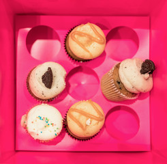Small decorated muffins in a pink box.