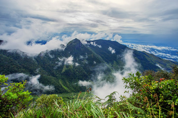 Obraz premium Sri Lanka landscape with mountains and jungle