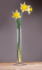 daffodils in a vase on a wooden table