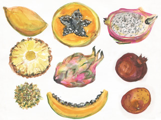 Fruit set, watercolor painting