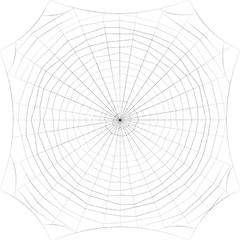 Spiderweb. Isolated on white background. Sketch illustration.