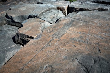 cave drawing on the stone (lizard)