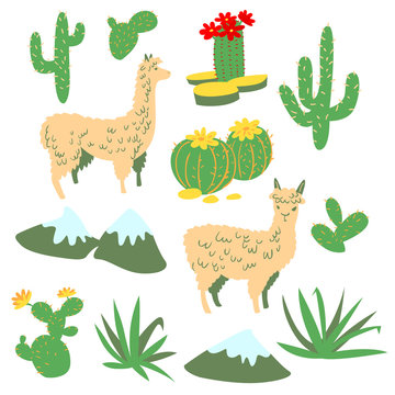 Set with alpaca and cactus. Vector collection with llama and desert plants