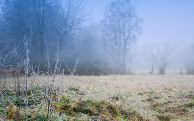 Obraz na płótnie Canvas Foggy Wintry Morning in British Countryside