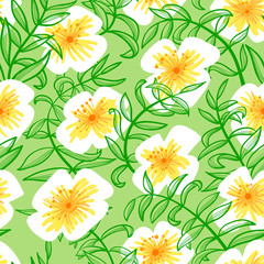 Floral seamless pattern in doodle style.  Background with flowers. Vectoe illustration