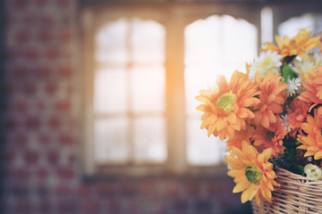 Flowers with windows background.