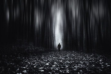 Forest fantasy landscape. Man in spooky forest at night, motion blur effect