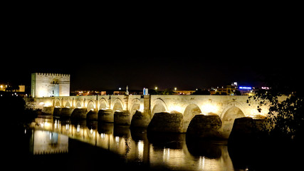 Fototapeta na wymiar View to Roman bridge in Cordoba at night, Andalusia, Spain