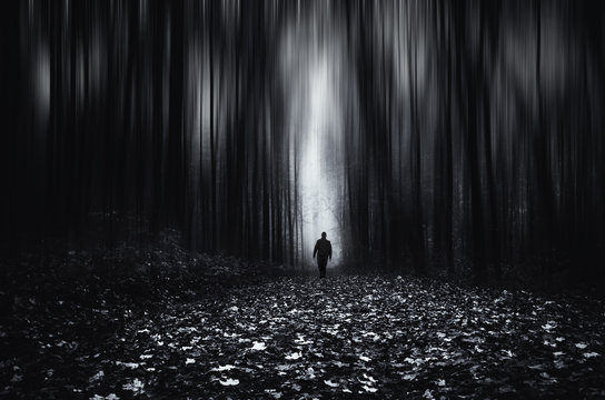 Fototapeta Forest fantasy landscape. Man in spooky forest at night, motion blur effect