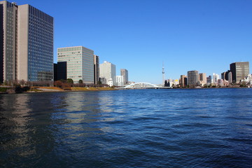 Fototapeta premium The view from Chuo Ohashi. Chuo Ohashi is a bridge over the Sumida River, located in Chuo-ku, Tokyo. Structural type Two-span continuous steel diagonal bridge Bridge length 210.7 m