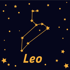 Leo constellation on starry sky