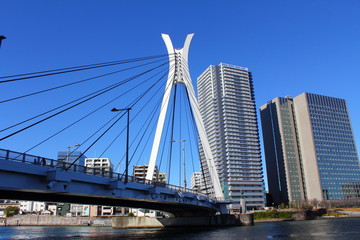 Fototapeta na wymiar Chuo Ohashi is a bridge over the Sumida River, located in Chuo-ku, Tokyo. Structural type Two-span continuous steel diagonal bridge Bridge length 210.7 m Width 25.0 m Completion August 26, 1993