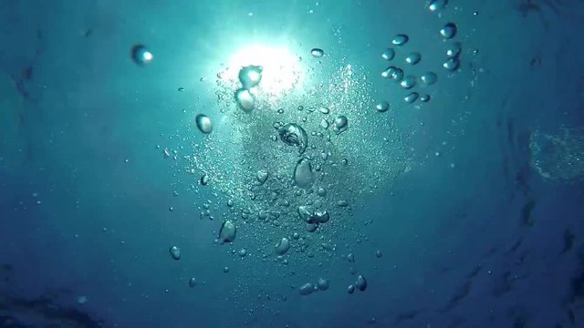 Diving bubbles rising to the surface