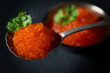 Red caviar decorated with parsley in silver spoon on a dark background, selective focus