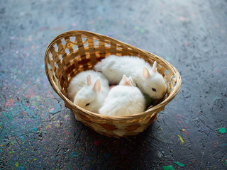 Traditional white Easter rabbits in the basket