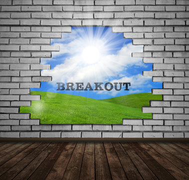 Brick Wall Breakout