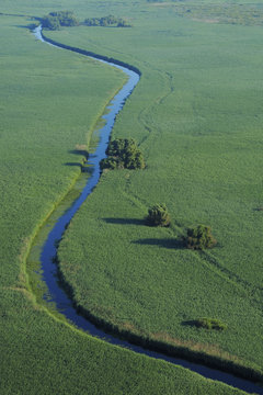 Aerial view of meandering river / waterway within the Danube delta rewilding area, Romania, June 2012