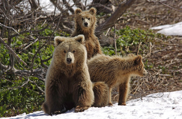 Kamchatka