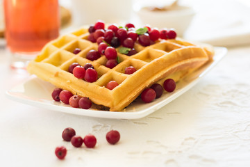 Traditional breakfast: belgian waffles with honey, cranberries and mint leaves on white tablecloth. Selective focus