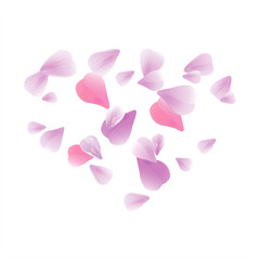 Pink Purple flying petals isolated on white. Sakura petals. Heart of petals. Vector 