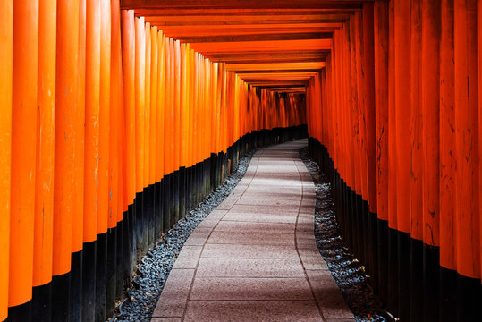 Tori Gate footpath of Fushimi Inari, Kyoto