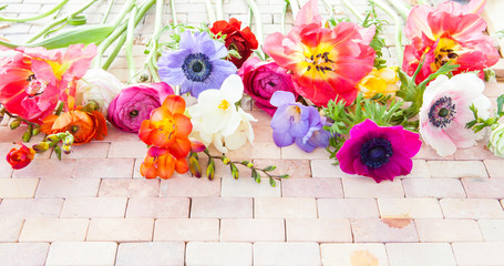 Bunte Fruehlingsblumen auf Stein