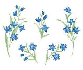 Flower set. Floral bouquet summer decorative collection for gree