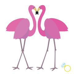 flamingo_two