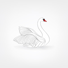 White bird isolated over white background. Swimming swan doodle line art © Terriana