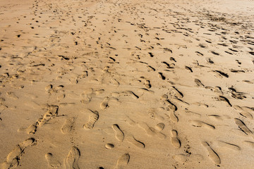 Footprints on a Busy Beach