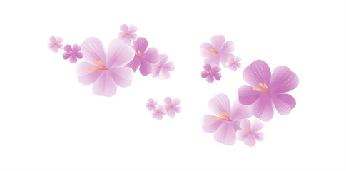 Purple flying flowers isolated on white. Sakura flowers. Cherry blossom. Vector 