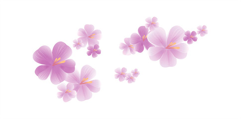 Purple flying flowers isolated on white. Sakura flowers. Cherry blossom. Vector 