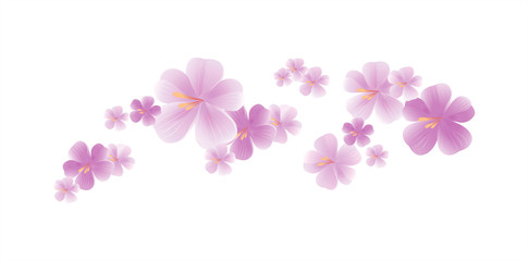 Naklejka na ściany i meble Purple flying flowers isolated on white. Sakura flowers. Cherry blossom. Vector 