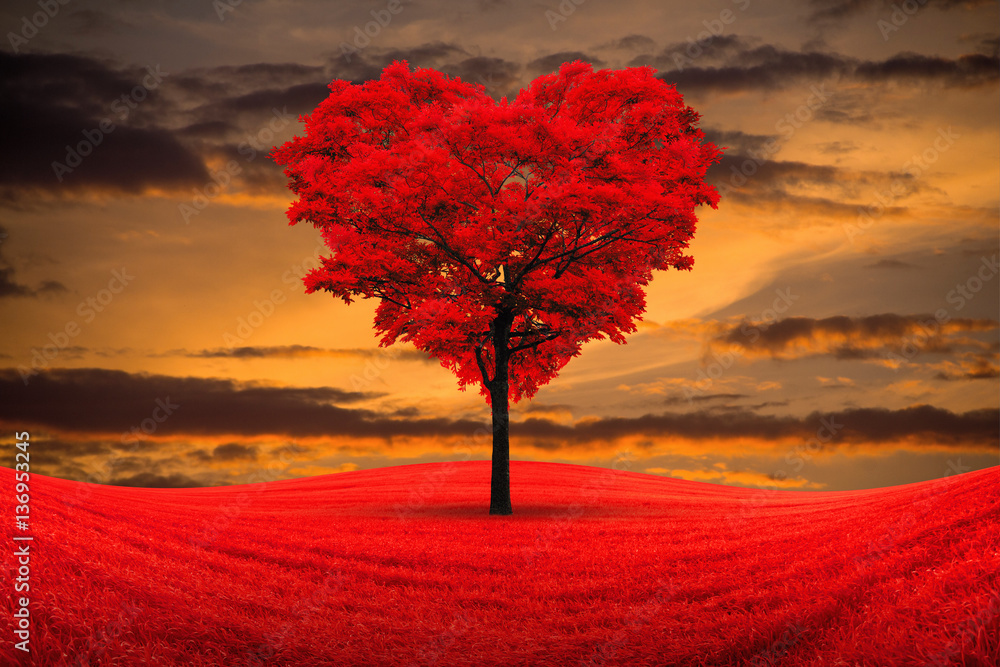 Wall mural red heart-shaped tree in the field against the background of a decline.