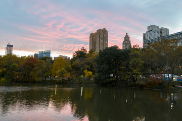 Fototapeta na wymiar Sunset in central park during the fall