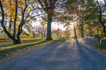Naklejka premium Sunset by at Bridle path in Central park